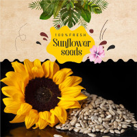 Sunflower Seeds 100 g